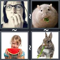 4 Pics 1 Word Nibble