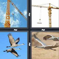 4 Pics 1 Word Levels Crane