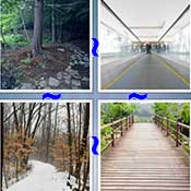 Whats the Word Path