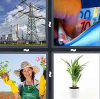 4 Pics 1 Word Levels Plant