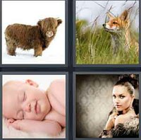 4 Pics 1 Word Fur