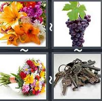 4 Pics 1 Word Bunch