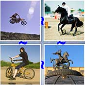 Whats the Word Rider