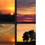 What's that Word Sunset