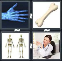 4 Pics 1 Word Levels Bone