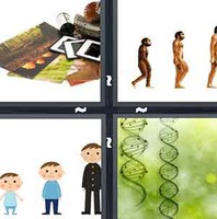 4 Pics 1 Word Levels Develop
