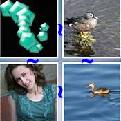 Whats the Word Teal