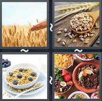 4 Pics 1 Word Cereal
