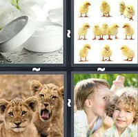 4 Pics 1 Word Levels Young
