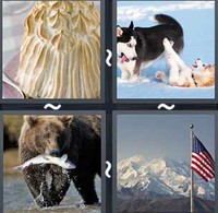 4 Pics 1 Word Levels Alaska
