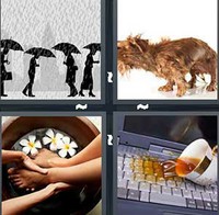 4 Pics 1 Word Levels Soaking