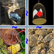 Whats the Word Cage