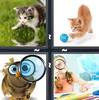 4 Pics 1 Word Levels Curious