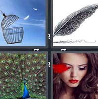4 Pics 1 Word Levels Feather