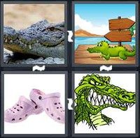 4 Pics 1 Word Levels Croc