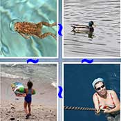 Whats the Word Swimming