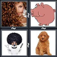 4 Pics 1 Word Curly