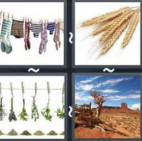 4 Pics 1 Word Levels Dry