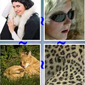 Whats the Word Fur