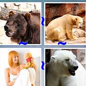 Whats the Word Bear