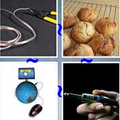 Whats the Word Wire