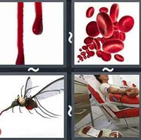 4 Pics 1 Word Levels Blood