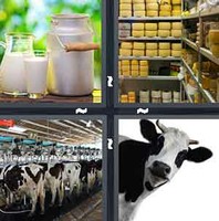 4 Pics 1 Word Levels Dairy