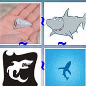 Whats the Word Shark