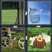 4 Pics 1 Word Cage