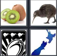 4 Pics 1 Word Levels Kiwi