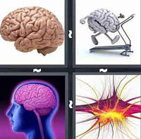 4 Pics 1 Word Levels Brain