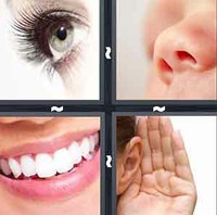 4 Pics 1 Word Levels Face
