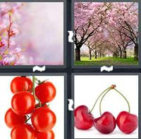 4 Pics 1 Word Cherry