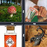 4 Pics 1 Word Levels Poison