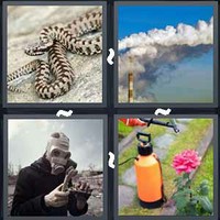 4 Pics 1 Word Levels Toxic
