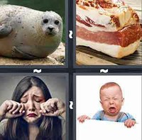 4 Pics 1 Word Levels Blubber