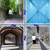 Whats the Word Corridor