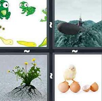 4 Pics 1 Word Emerge