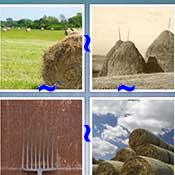 Whats the Word Hay