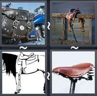 4 Pics 1 Word Levels Saddle