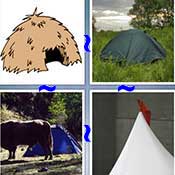 Whats the Word Tent