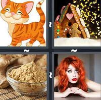 4 Pics 1 Word Ginger