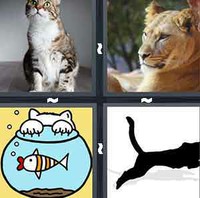4 Pics 1 Word Feline