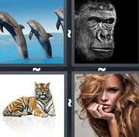 4 Pics 1 Word Mammal