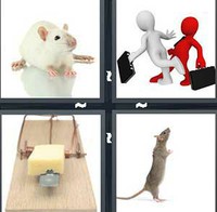 4 Pics 1 Word Rat 