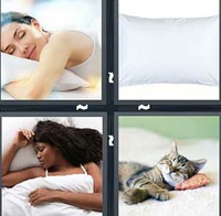 4 Pics 1 Word Pillow