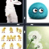 4 pics 1 word 5 letters clover