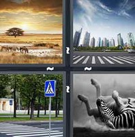 4 Pics 1 Word Zebra