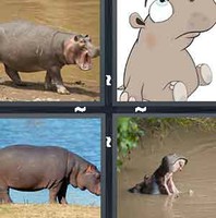 4 Pics 1 Word Hippo