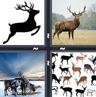 4 Pics 1 Word Deer